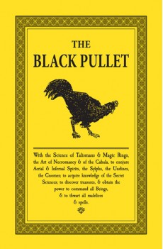 The Black Pullet